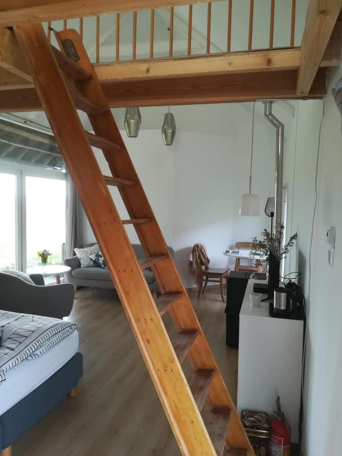 Hofstede 'S Gravenhoek Wissenkerke Стая снимка
